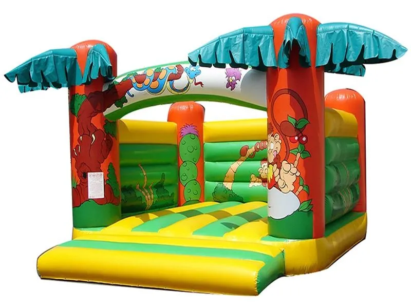 From Backyard Barbecues to Corporate Galas: Bouncy Castle Rentals for Every Occasion