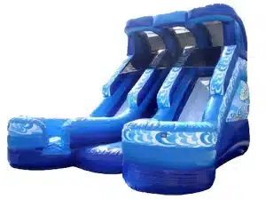 Double Water Slide Inflatable