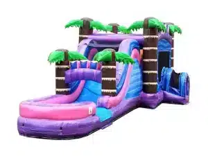 Inflatable Water Slide